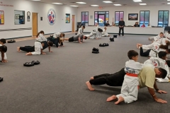 KFMA Kids enjoy adding pressure during partner push-up drills! 