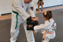 Dad holds the targets for his Tiger daughter while she works on her front kicks! 