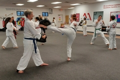 Adults training together during a KFMA Family Class!