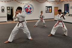 High rank color belt teens working on their traditional Songahm forms in the evening Family class. 