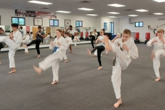 KFMA Family classes (with parents trying a class) always begin with light calisthenics to warm-up!