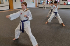 KFMA Kids working on their traditional Songahm Taekwondo form during a Family Class.
