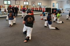 With proper instruction, families can safely train together in the martial arts in the same classes.