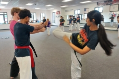 A KFMA Black Belt practicing her round kick break, which is done in combination with two other board breaks as part of her rank testings. A KFMA Black Belt practicing her round kick break, which is done in combination with two other board breaks as part of her rank testings.