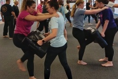 KFMA-womens-self-defense-knee-strikes-target