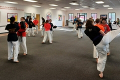 Family-Martial-Arts-Teens-Tampa-1