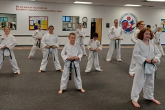 KFMA-Family-Class-Traditional-Taekwondo