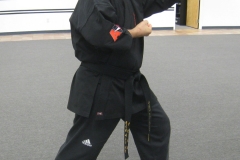 Taekwondo-sparring-stance-1-Tampa-Martial-Arts