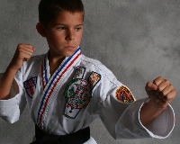 martial-arts-for-kids-tampa-fl-kowkabanys