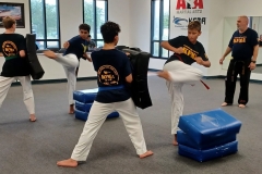 Notice the perfect chamber as this red belt teen executes a reverse side kick. Notice the perfect chamber as this red belt teen executes a reverse side kick.