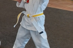 KFMA Tigers are our preschool group, ages 4 through 6, and they work on the basics of martial arts training as well as life skills (courtesy, respect, self-control) to help prepare for success in school. KFMA Tigers are our preschool group, ages 4 through 6, and they work on the basics of martial arts training as well as life skills (courtesy, respect, self-control) to help prepare for success in school.