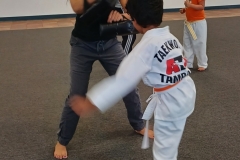 KFMA-Family-Martial-Arts-Adults-Kids-Westchase-1