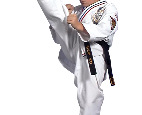 teen boy karate kicking